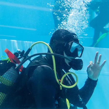 Santa Cruz Dive House Padi Dive Silveira (Lisbon)