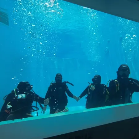 Santa Cruz Dive House Padi Dive